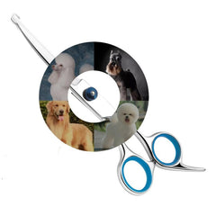 6 Inch Up Curved Pet Grooming Scissors with Round Head