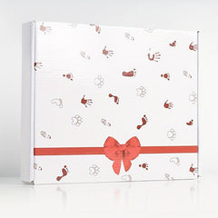 Pet Print Photo Mud & Frame DIY Memorial Kit