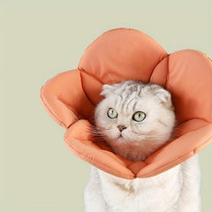 Anti Scratch Pet Cone for Dogs & Cats After Surgery