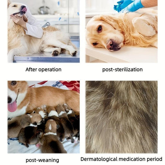 Dog Recovery Suit After Surgery, Post-Spay/Neuter Body Suit for Dogs