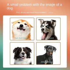 2 Sets Box Dog Ear Stand Sticker Up Support Tools Dog Ear Fixed Correction