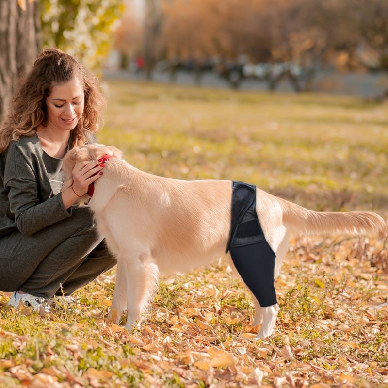 Adjustable Dog Leg Support Front and Back Protector