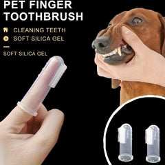 3pcs Transparent Pet Toothbrushes For Dogs Cats Small Pets