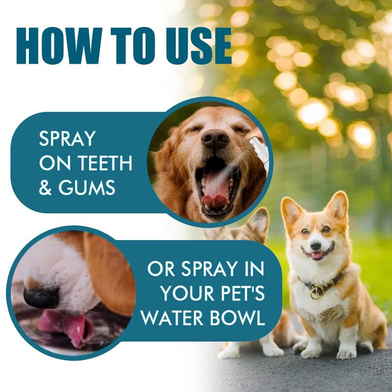 100ml Pet Oral Cleaning Care Spray - Dogs and Cats