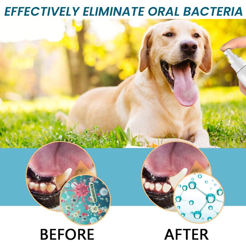100ml Pet Oral Cleaning Care Spray - Dogs and Cats