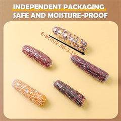 Hamster Teeth Grinding Corn Stick Small Pet Chewing Snack