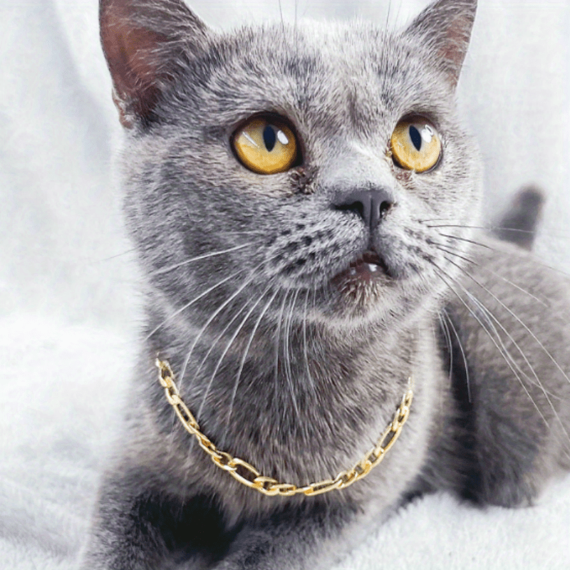 Cat Necklace Aluminum Style Pet Necklace Kitten Decoration Accessories
