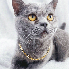 Cat Necklace Aluminum Style Pet Necklace Kitten Decoration Accessories