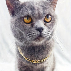 Cat Necklace Aluminum Style Pet Necklace Kitten Decoration Accessories