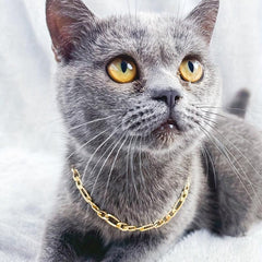 Cat Necklace Aluminum Style Pet Necklace Kitten Decoration Accessories