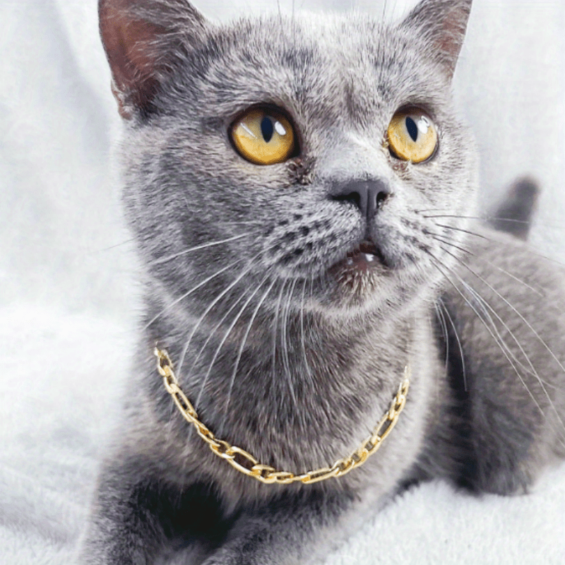 Cat Necklace Aluminum Style Pet Necklace Kitten Decoration Accessories