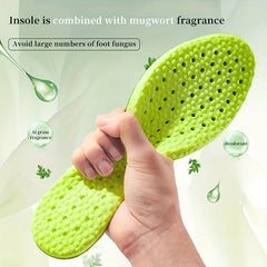 Wormwood Breathable Sport Insoles Plantar Fasciitis
