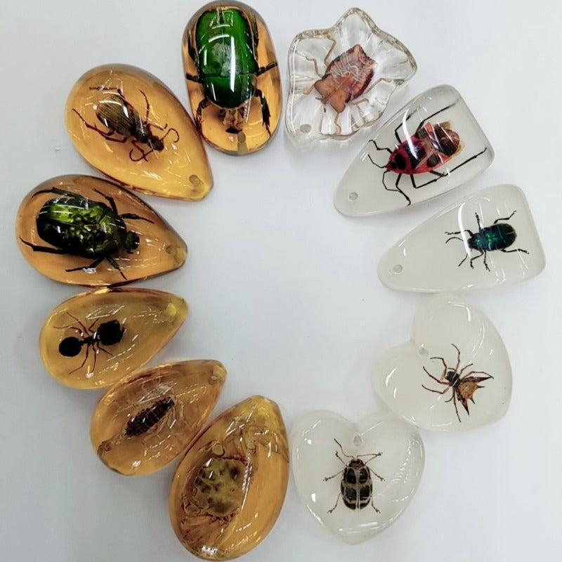 Educational Faux Insect Amber Blind Box Accessories