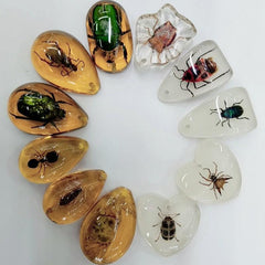 Educational Faux Insect Amber Blind Box Accessories