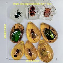 Educational Faux Insect Amber Blind Box Accessories