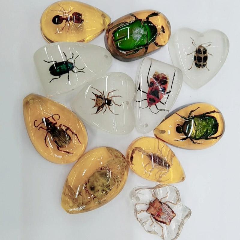 Educational Faux Insect Amber Blind Box Accessories
