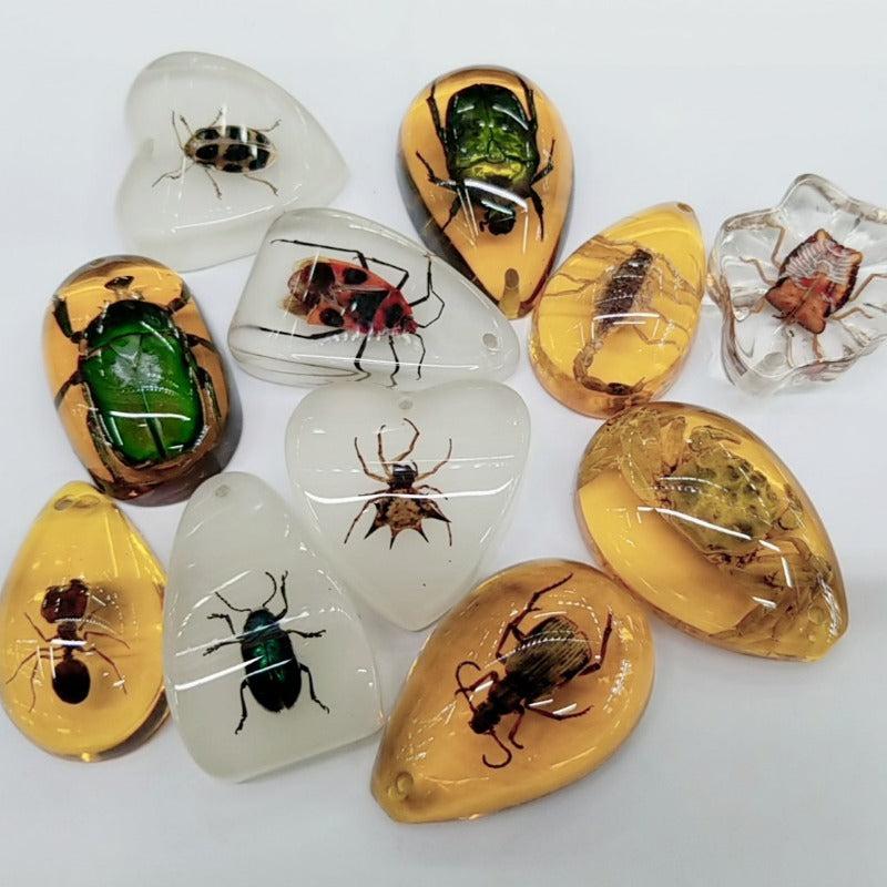 Educational Faux Insect Amber Blind Box Accessories