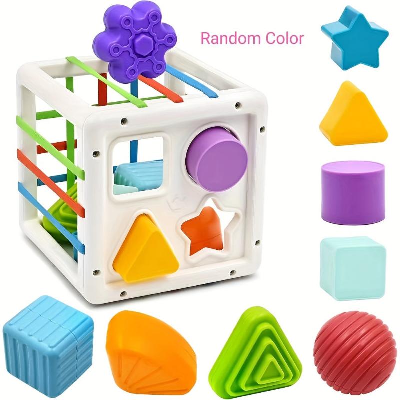 Montessori Shape Sorter Sensory Bin Toy for Baby 1st Birthday