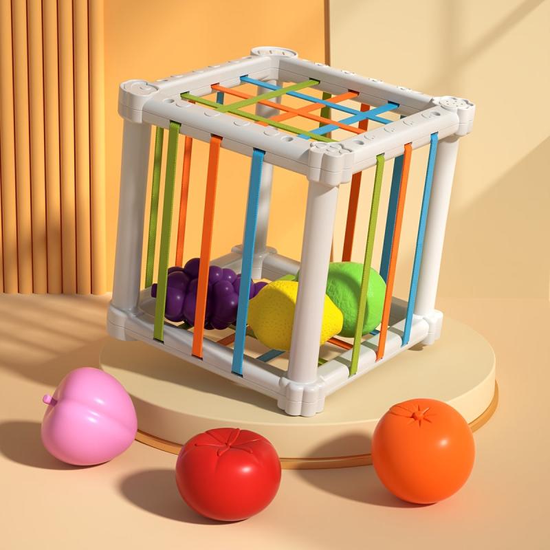 Montessori Colorful Cube & 6 Fruit Shapes Learning Toys