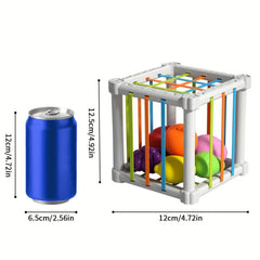 Montessori Colorful Cube & 6 Fruit Shapes Learning Toys