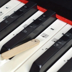 Piano Keyboard Sticker Set for 32-88 Keyboards Enhances Learning and Playing