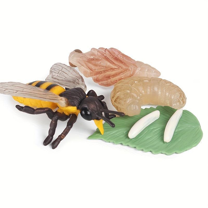 Animal Life Cycle Model Toys for Kids - Educational Insect Themed Party Favors