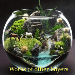 2pcs Horse Miniature Landscape Decorations DIY Pet House Creation