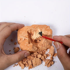 Dinosaur Digging Egg Treasure Digging Toy