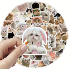 60pcs Realistic Cat Stickers Transparent Vinyl Cats Sticker Kitten Wa