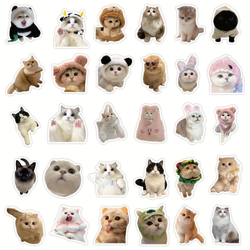 60pcs Realistic Cat Stickers Transparent Vinyl Cats Sticker Kitten Wa