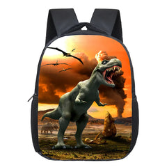 Dinosaur Magic Dragon Backpack For Kids Animals Backpacks