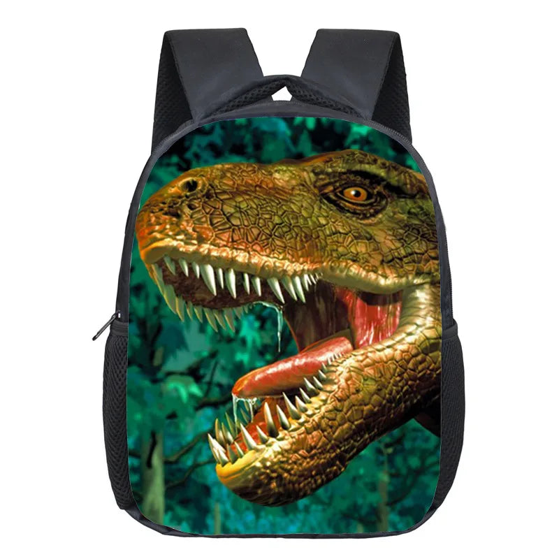 Dinosaur Magic Dragon Backpack For Kids Animals Backpacks