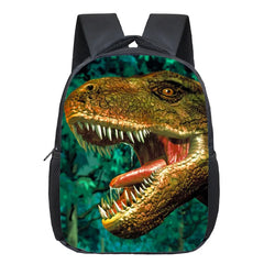 Dinosaur Magic Dragon Backpack For Kids Animals Backpacks
