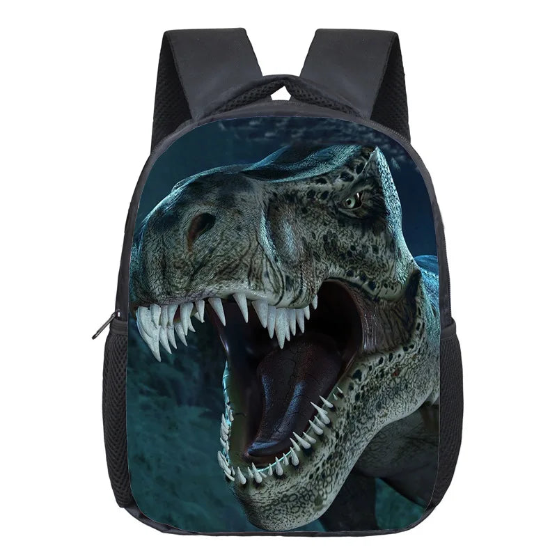Dinosaur Magic Dragon Backpack For Kids Animals Backpacks