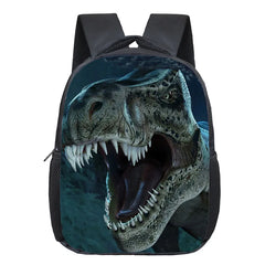 Dinosaur Magic Dragon Backpack For Kids Animals Backpacks
