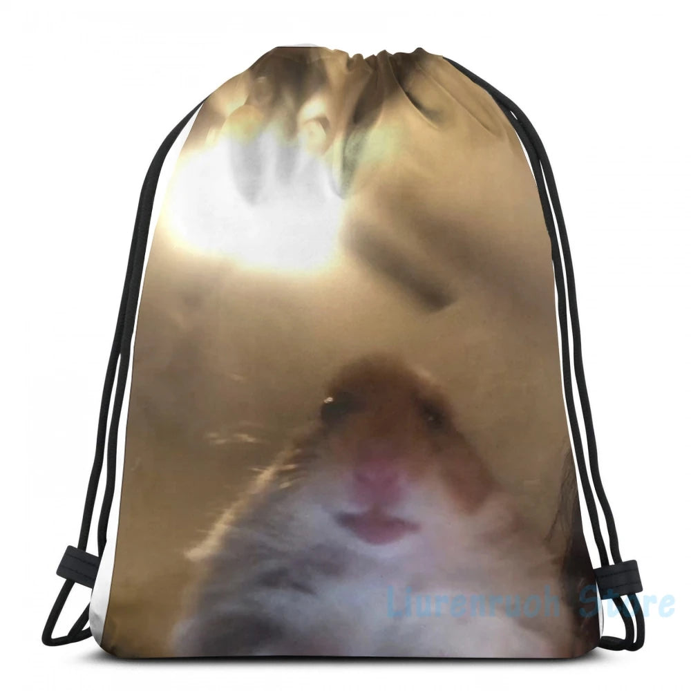 Funny Hamster Meme Graphic Print USB Charge Backpack