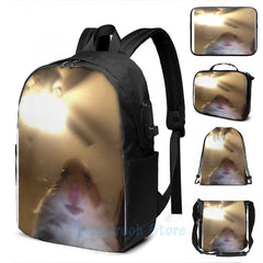 Funny Hamster Meme Graphic Print USB Charge Backpack