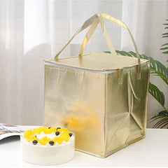 Insulated Bag Thermal Cooler Picnic Foldable Ice Pack Portable Cake Carrier