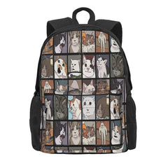 Meme Cats 20 2 Backpacks Men's Backpacks Bags For Women Plain