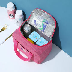 Waterproof Large Lunch Bag Insulated Cooler Bags for Women