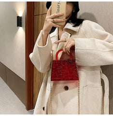 Small Transparent Top Handle Bag for Women