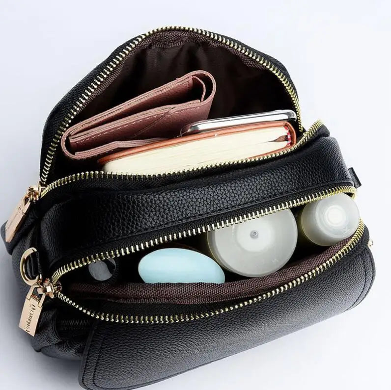 Women's Small Casual Messenger Bag Crossbody Handbag