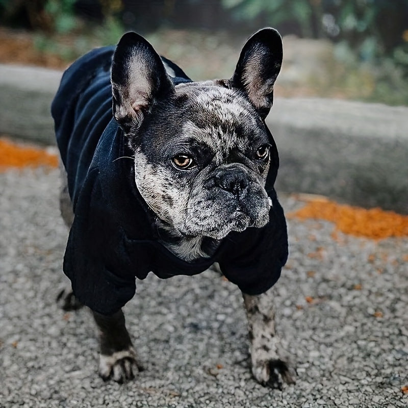 Bear Graphic Pet Crew Neck Sweater For Autumn And Winter