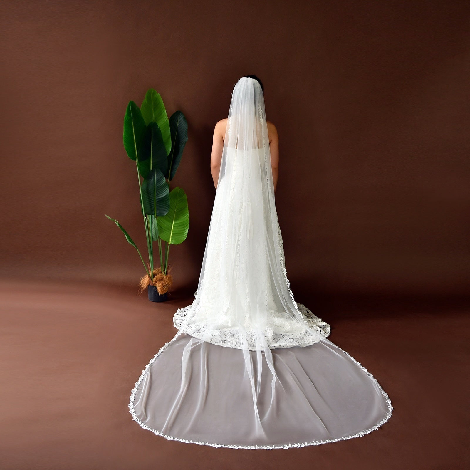 Romantic Bridal Veil with Lace Trim & Tulle Overlay