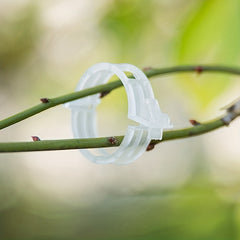 Tomato Hanging Rope Snap Clip Vegetable Snap Clip Garden Tools