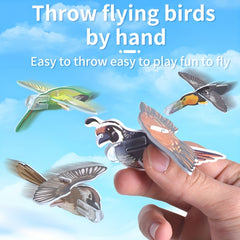 Bird 3D Educational Toy Children's Novelty Stress Relief Gift