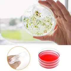 10pcs Plastic Petri Dishes With Lids 90 X 15mm Bioresearch Sterile Petri Dish
