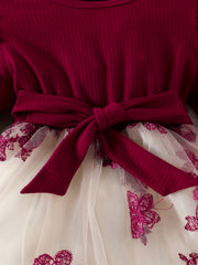 Kid Girl Butterfly Embroidery Tulle Ruffle Sleeve Dress