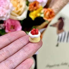 Strawberry Cake&Clip with Tray Dollhouse Accessories