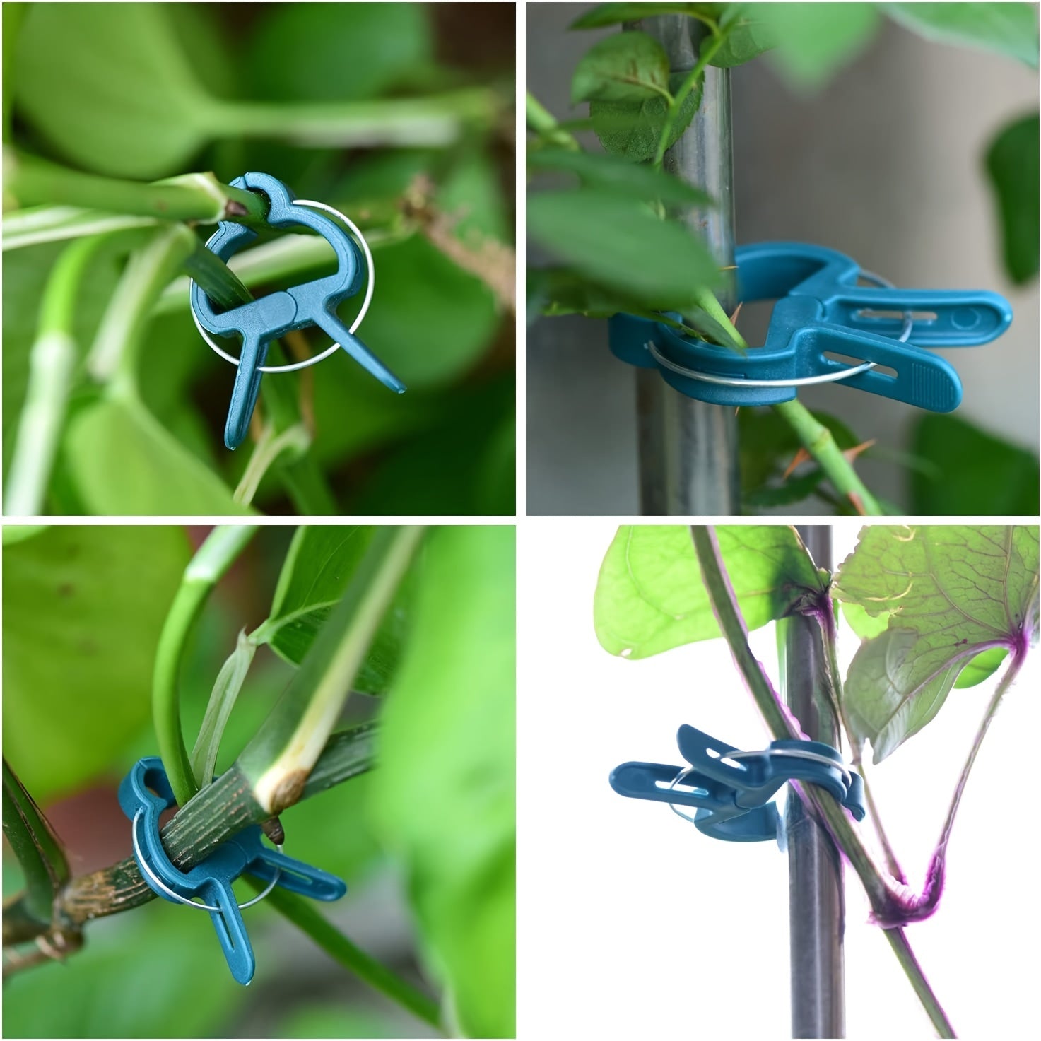 20pcs Plant Grafting Clips - Greenhouse Clamp Fastener Bracket